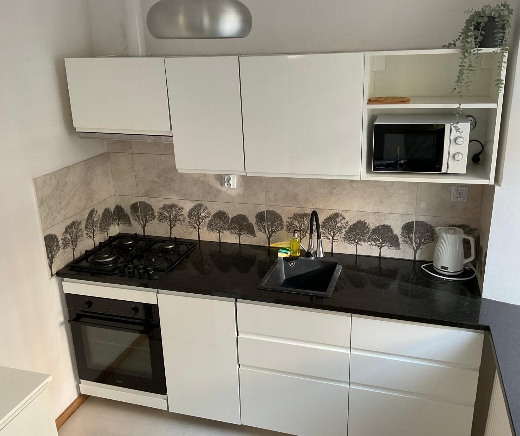 Omorika Na Zamkowej Apartment Krakow Exterior photo